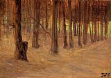 Sunlit Canvas Paintings - Forest with Sunlit Clearing in the Background